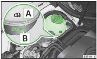 Compartiment moteur : vase d'expansion du fluide de refroidissement