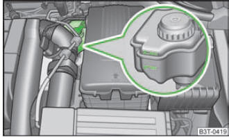 Compartiment moteur : réservoir de liquide de frein