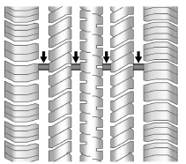 Les témoins d'usure de la bande de