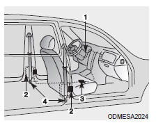 Le prétendeur de ceinture de